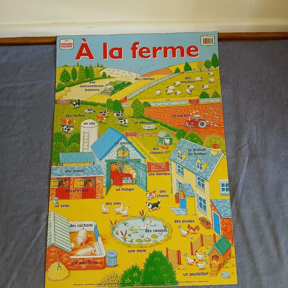 Learning French Educational Posters 30